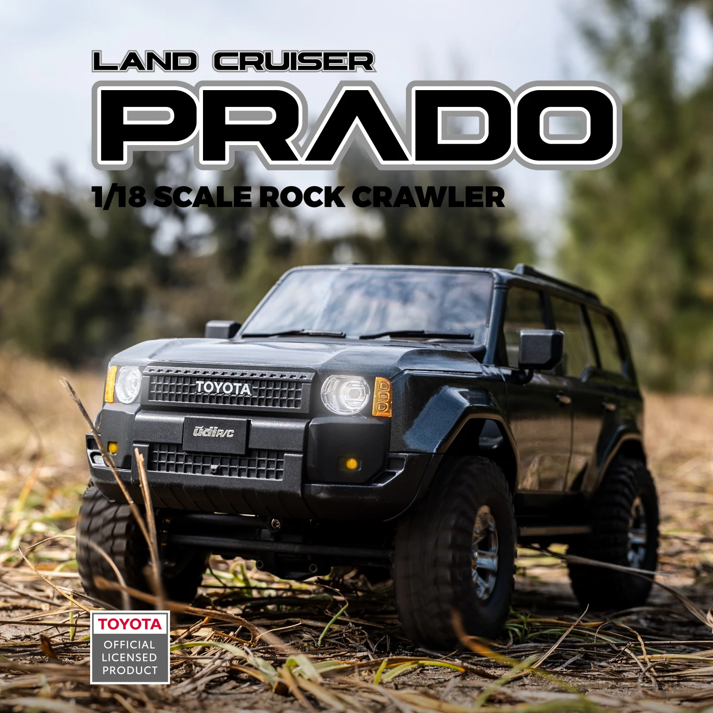 UDIRC 1/18 1/24 Scale Rock Cra - đánh giá và giá Rc Hobby Grade Truck